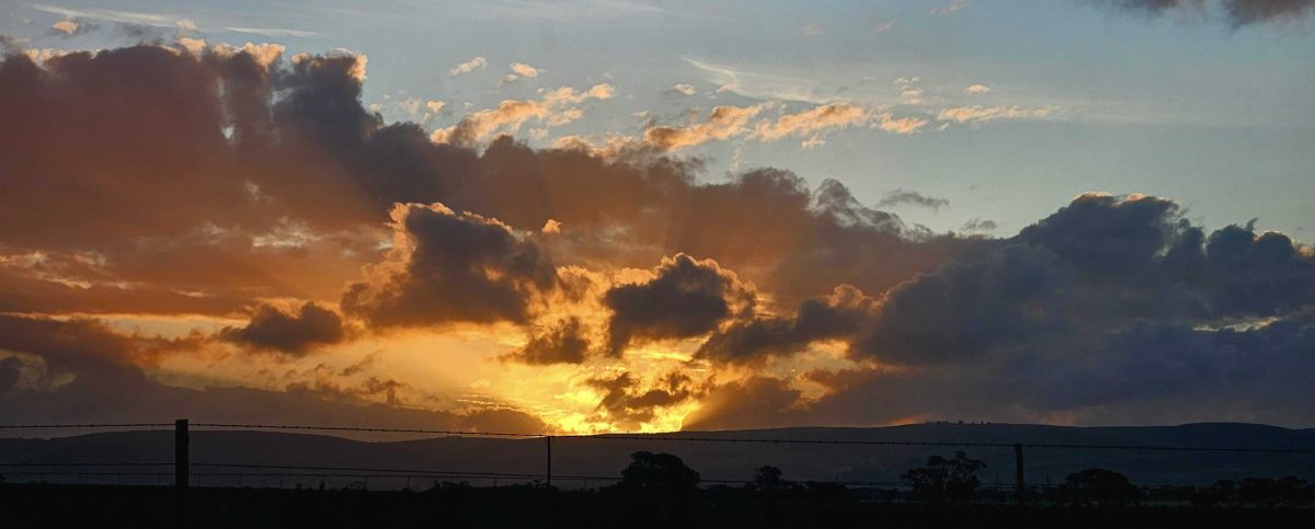 From the Adelaide Hills of Hebron